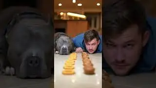 Bully Dog SPEEDRUNS Potato Skins &mdash; Man Cries in Muffins 😂🤣
