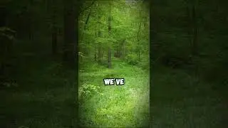 Exploring Reality: Reddit Stories That Challenge Perception