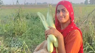 Babool ke tree se loki kese todi🤔🤣|sunitivlogs|