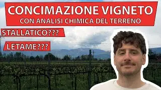 Concimazione vigneto basata su analisi chimica del terreno (parte 1)