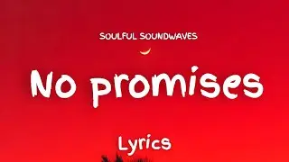 No Promises Lyrics | Soulful Soundwaves | Trending Lyric Video 2025