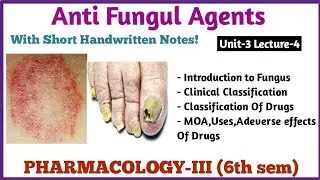 Pharmacology – ANTIFUNGAL DRUGS | b Pharmacy 6th semester