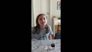 Engage. Explore. Explain. Science Project