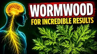 Wormwood Benefits | Parasite Cleanse & Gut Health Explained