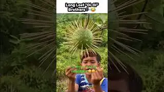 OI OI OiIIiIiI