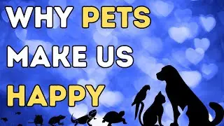 Why Pets Make Us Happy