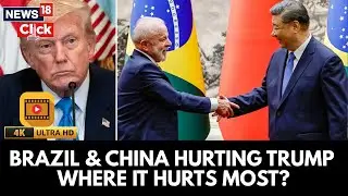 Brazil Replaces US As China&rsquo;s Top Soybean Partner | Blow To Trump's Trade Tariff Strategy | N18G