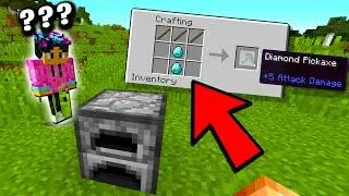 I made my new minecraft friend use the cursed texture pack