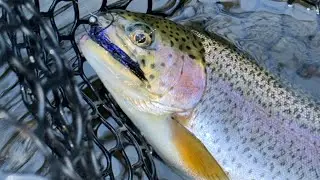 Tight-lining / Euro nymphing / Euro jigging / Direct contact