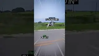 Biker Gets Humbled By Horse Rider😳