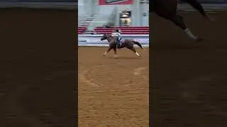 Dusky Lynn hall!! On KD baby driver! Such a talented girl! #equine #horse #rodeo #rodeo #horselover