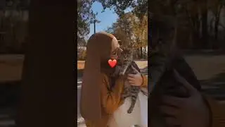 Say Mashallah💗🫶🏻 #cats #meow #kitten #viral #viralvideo #BlushCatss