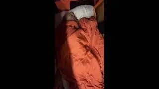 🔴 Van Life I cried at Bob Wells 2026 RTR In Quartzsite Arizona