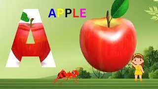ABC phonics song ,Toddlers, Number song, Nursery Rhymes, Colour song , Babies, shape song 313
