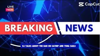 Wittopian News: UJ talks about the catnip ban and the tuna sales. 