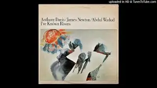Anthony Davis/James Newton/Abdul Wadud - After You Said Yes