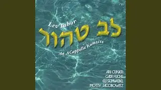 Anim Zemiros