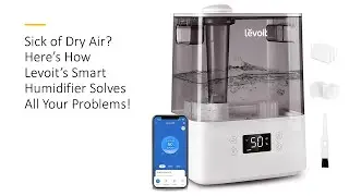 Sick of Dry Air? Here&rsquo;s How Levoit&rsquo;s Smart Humidifier Solves All Your Problems!
