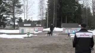 Njassan Luonnetesti Orimattilassa