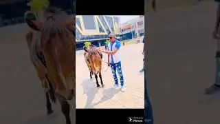 under Gee ft Y Coast =pepa wahao mwana