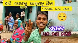 ଆଜି ମାଉସୀଙ୍କୁ ଦେଖିବାକୁ ଯିବା ମାଉସୀର ଦେହ ଖରାପ। ଏପଟେ ଧାନ ଚାଷ ଚାଲିଛି 