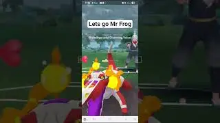 The Pokemon Go Mexican stand-off Ultra League Shadow Pidgeot Toxicroat & Primeape