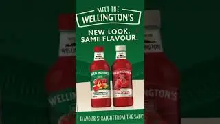 #youtubeshorts #fypyoutube #fypシ゚viral #youtuber #simba #wellington #chips #sauce #tumiracle