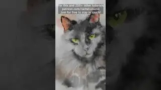 Cat eye painting tips watercolor tutorial