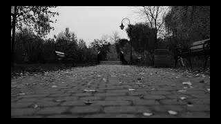 Fritz & Paul Kalkbrenner - Sky and Sand Original Mix (Video Music)