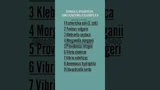 What are indole bacteria|Indole positive organisms examples in microbiology|indole test#new#shorts