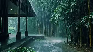 Deep Sleep ASMR Heavy Rain on Home Terrace with Lush Green Bamboo for Peaceful Relaxing Night 0010