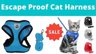 Escape Proof Cat Harness | Escape Proof Cat Harness with Leash