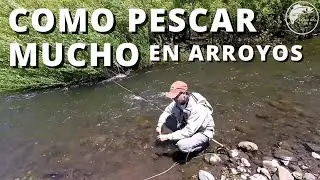 Como se Pesca en Arroyos, TIPS PARA PESCAR EN ARROYOS, Pescando Arroyos, Pesca con Mosca,Fly Fishing