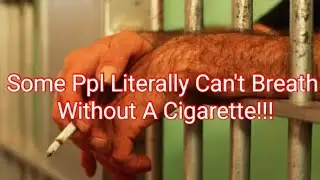 No Prison Tobacco Made Convicts Crazy/Newports Cut Menthol!!!
