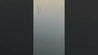Shooting snakes