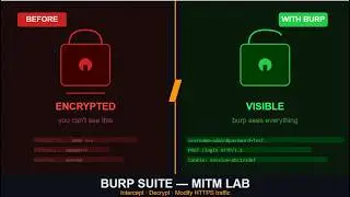 How to Intercept HTTPS Traffic with Burp Suite (MITM Attack Explained)