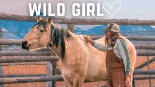 Watch A Wild Horse Go From Terrified To Trusting In 2 Days