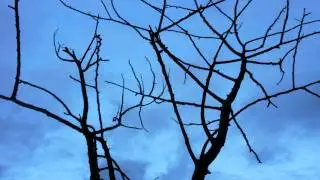 Time Travel Beats: Dark Feel | Ambient Cinematic Music | Free Royalty Free Music