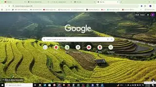 How To Change Google Chrome Theme On Windows 11 - Full Guide
