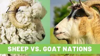 Lance Rewind - Sheep Nations, Goat Nations, And America's Great Shaking | Lance Wallnau