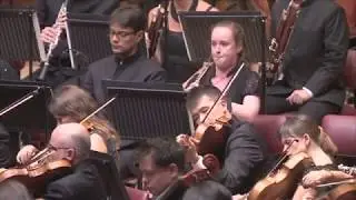 Anton&iacute;n Dvoř&aacute;k &ndash; &lsquo;Largo&rsquo; from Symphony No. 9 (&lsquo;From the New World&rsquo;) &ndash; Symphony Orchestra of India