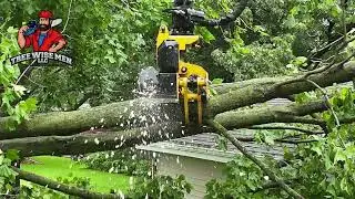 Tree Wise Men LLC | Safe Tree Removal From a Home After Storm