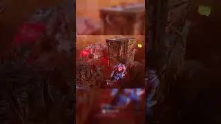Long Chase | Nemesis Edition #dbd #dbdstation