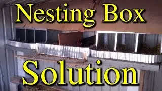 Stop Chickens Throwing Nesting Material Out of Boxes Fix