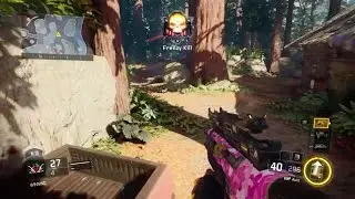 FLAWLESS FFA Nuclear BO3