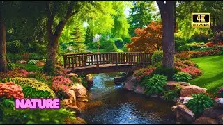Relaxing Piano Music with Forest River & Bird Sounds 🌿 | Sleep, Study, Focus