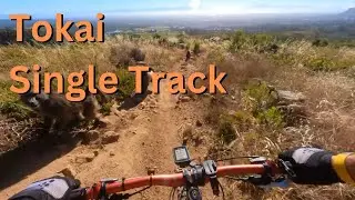 MTB Single Track  Tokai - Mamba, Boomslang, Snake Eyes and Rinkhals