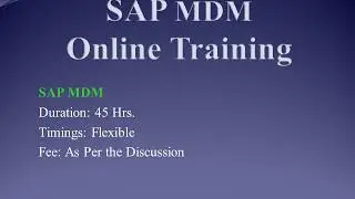 SAP MDM Training Video