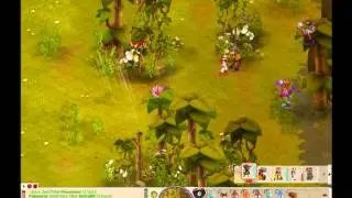 DOFUS SH  : Agr&eacute;ssion multiples de la flash back.