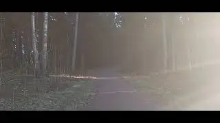 Mik&auml; tie valita: Synti/omateko/hyv&auml; teko, vai Pyh&auml; teko? Mihin Jeesus meni? Jumalan Sana kertoo tien